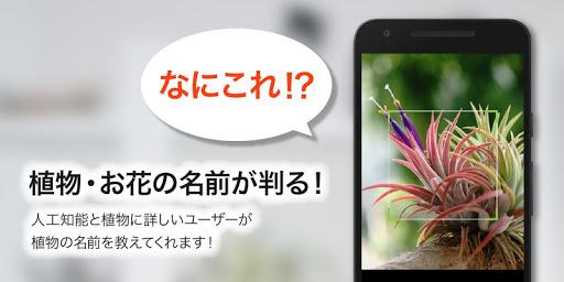 GreenSnap - 植物・花の名前が判る写真共有アプリ - عکس برنامه موبایلی اندروید