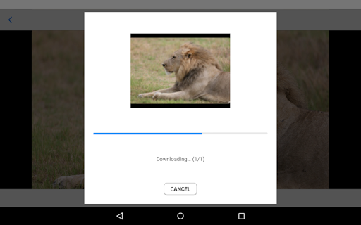 Canon Connect Station - Image screenshot of android app