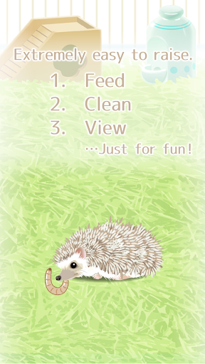 Hedgehog Pet - عکس بازی موبایلی اندروید