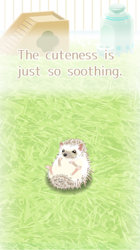 Hedgehog Pet - عکس بازی موبایلی اندروید