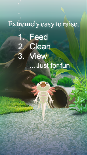 Axolotl Pet - Gameplay image of android game