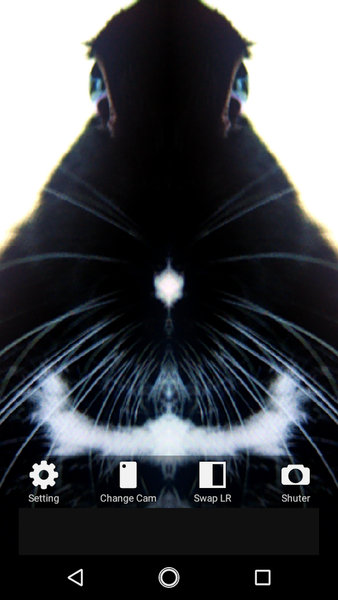 Symmetrical Camera - Image screenshot of android app