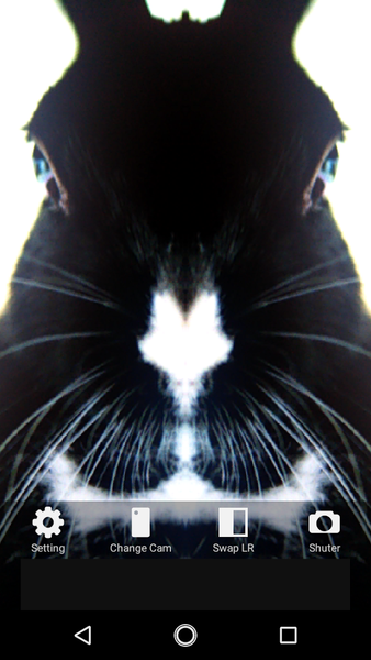 Symmetrical Camera - Image screenshot of android app