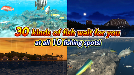 Excite BigFishing Ⅲ - عکس بازی موبایلی اندروید