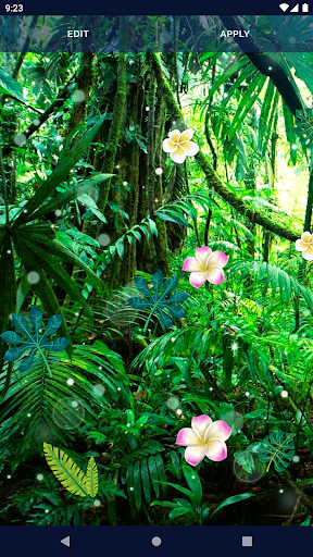 Palm Jungle Live Wallpaper - Image screenshot of android app