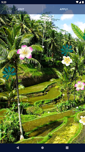 Palm Jungle Live Wallpaper - Image screenshot of android app