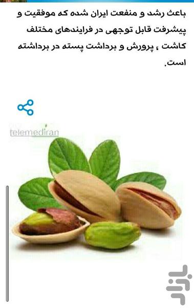 صفر تا صد پسته - عکس برنامه موبایلی اندروید