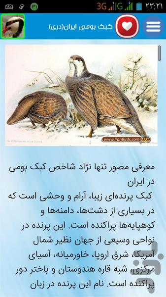 آموزش پرورش کبک - عکس برنامه موبایلی اندروید