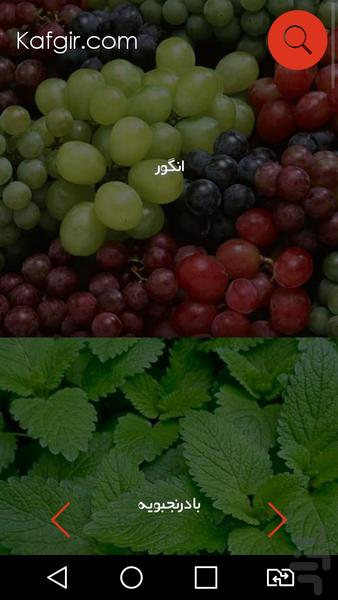 خاصیتش چیه؟ - Image screenshot of android app