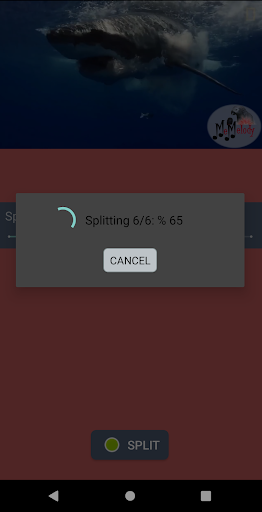 Video Splitter - Image screenshot of android app
