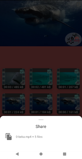 Video Splitter - Image screenshot of android app