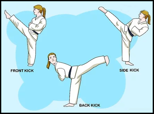 How to learn karate - Image screenshot of android app