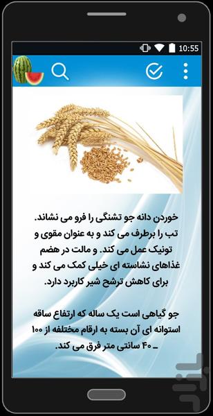خواص میوه و سبزیجات - عکس برنامه موبایلی اندروید