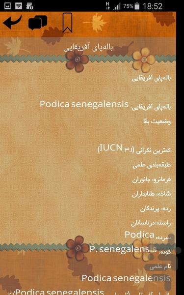 پرندگان آفریقا - عکس برنامه موبایلی اندروید