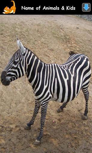 Animal Sounds for Kids Lite - عکس بازی موبایلی اندروید
