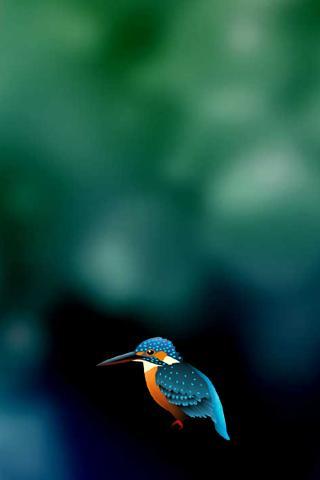 Kingfisher LiveWallpaper Trial - Image screenshot of android app
