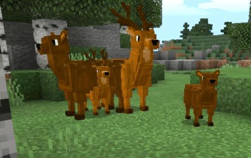 Addon Animal Zoo - عکس برنامه موبایلی اندروید