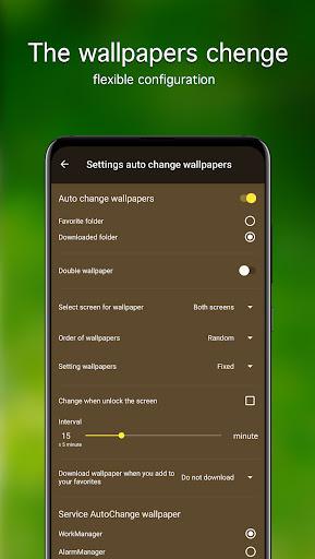 Kitten Wallpapers ۴K - عکس برنامه موبایلی اندروید