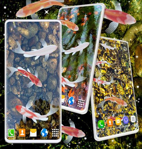 Fish ۴K HD Koi Live Pond ۳D - عکس برنامه موبایلی اندروید