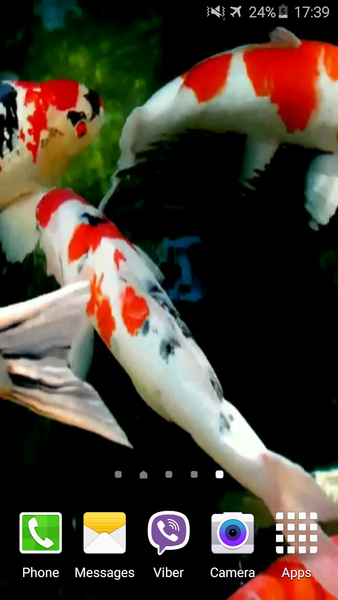 Koi 4K Video Live Wallpaper - Image screenshot of android app