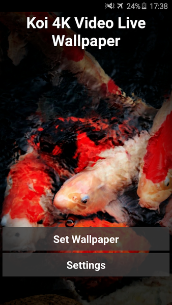 Koi 4K Video Live Wallpaper - Image screenshot of android app