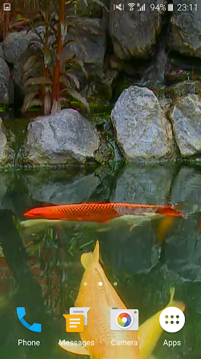 Koi Fish Video Wallpaper 3D - Image screenshot of android app