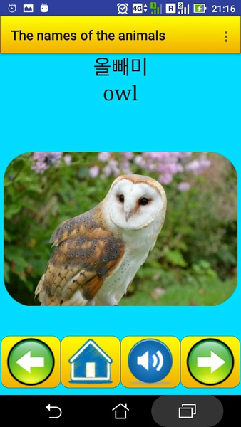 Animal names in Korean - عکس برنامه موبایلی اندروید