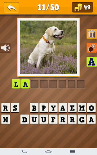 Dog Breeds Quiz - Gameplay image of android game