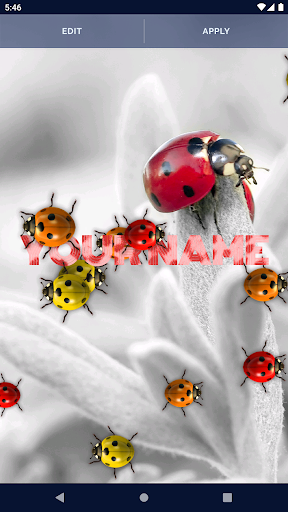 cute ladybug wallpaper