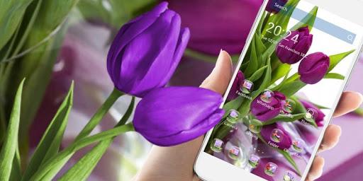 HD Purple Tulip Wallpaper - Image screenshot of android app