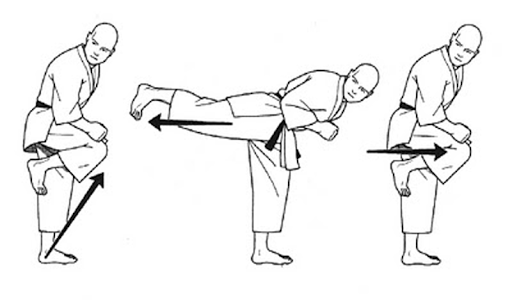 Learn Kung Fu - عکس برنامه موبایلی اندروید