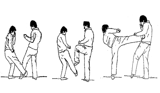 Learn Kung Fu - عکس برنامه موبایلی اندروید