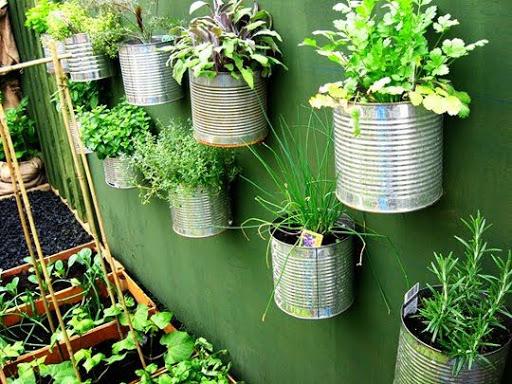 Learn Gardening - عکس برنامه موبایلی اندروید