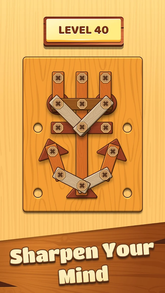 Unscrew Wood Nut & Bolt Puzzle - عکس بازی موبایلی اندروید
