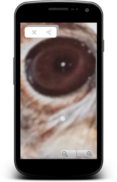 MyLens - Magnifying glass - Ca - عکس برنامه موبایلی اندروید