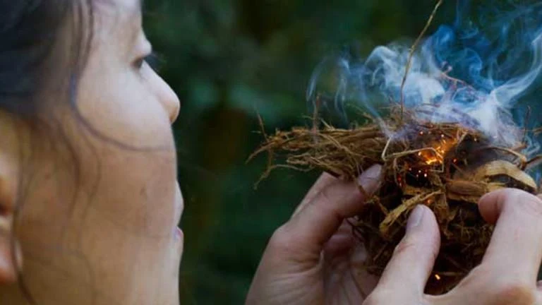 Survival lessons - عکس برنامه موبایلی اندروید