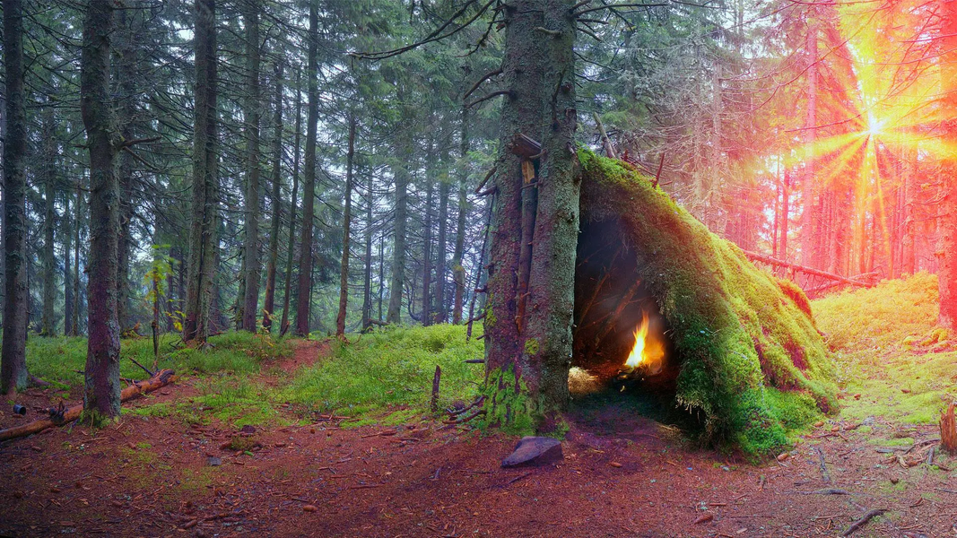 Survival lessons - عکس برنامه موبایلی اندروید