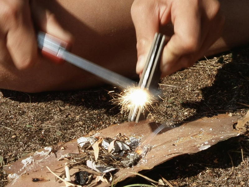 Survival lessons - عکس برنامه موبایلی اندروید