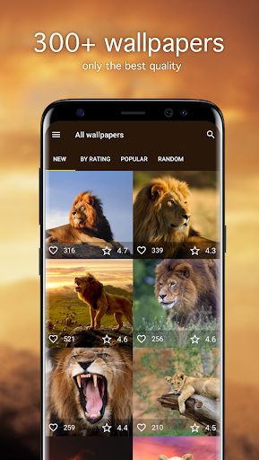 Lion Wallpapers 4K - Image screenshot of android app