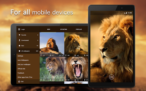 Lion Wallpapers ۴K - عکس برنامه موبایلی اندروید