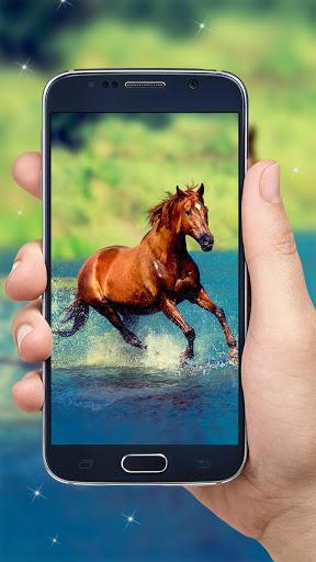 Running Horse HD Wallpaper - Image screenshot of android app