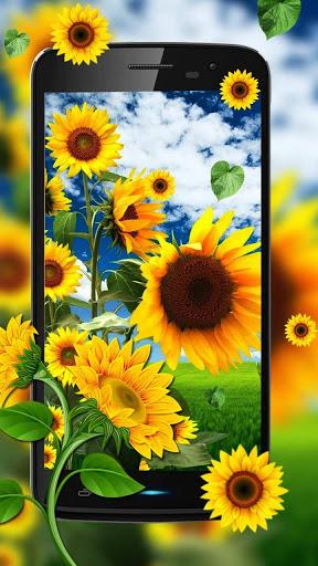 nature shiny sunflower - Image screenshot of android app
