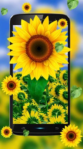 nature shiny sunflower - Image screenshot of android app