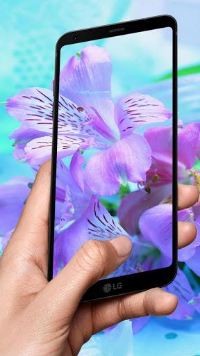 Flowers Nature Live Wallpaper - عکس برنامه موبایلی اندروید