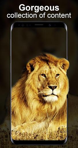 Live Wallpapers Unlimited - عکس برنامه موبایلی اندروید