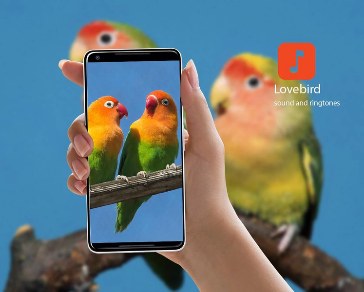 Lovebird Sounds - عکس برنامه موبایلی اندروید