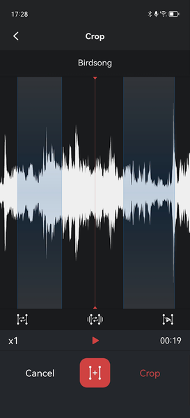 Voice Recorder & Memos Pro - عکس برنامه موبایلی اندروید