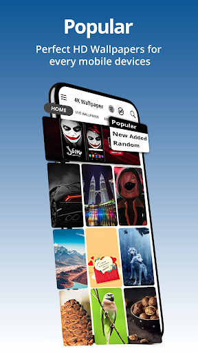 4K Wallpapers – تصاویر پس‌ زمینه‌ی گوشی - عکس برنامه موبایلی اندروید