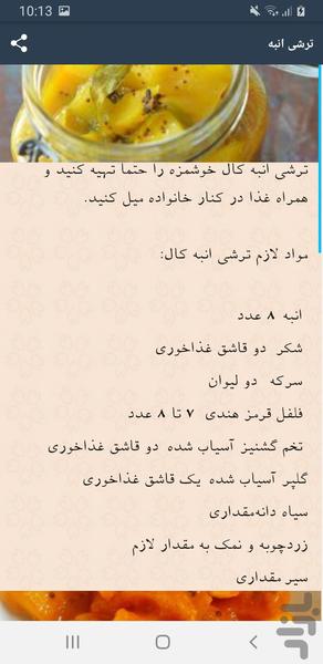 دستورتهيه ترشي - Image screenshot of android app