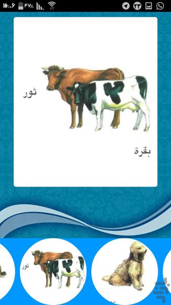 فرهنگ لغت تصویری عربی - عکس برنامه موبایلی اندروید
